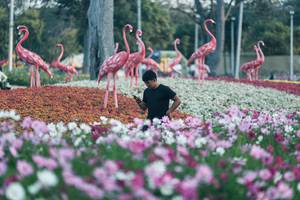 BIB: 
                            <button type="button" onclick="openModal(27344027)" class="btn btn-primary btn-sm float-right btn-popup" data-toggle="modal" data-target=".modal-high-quality">
                        <i class="fas fa-shopping-cart"></i> Add to Cart
                    </button>
                                            <button type="button" onclick="isThisMe(27344027, true)" class="btn btn-success btn-sm float-right btn-popup btn-isme hidden" data-toggle="tooltip" data-placement="bottom" title="นี่คือรูปของคุณใช่ไหม คลิกที่นี่เพื่อเอาเข้าอัลบั้ม">
                        <i class="fas fa-plus"></i> Add to album
                    </button>
                    <button type="button" onclick="isThisMe(27344027, false)" class="btn btn-warning btn-sm float-right btn-popup btn-isnotme hidden">
                        <i class="fas fa-ban"></i> Remove from album
                    </button>